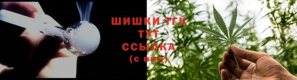 гидра Белокуриха