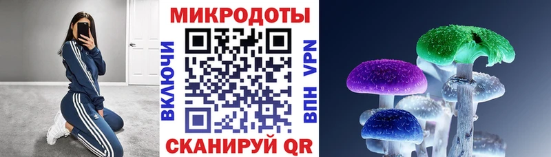 купить  сайты  Большой Камень  Галлюциногенные грибы Magic Shrooms 